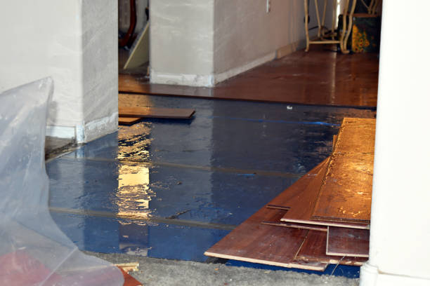 Professional Basement Flood Cleanup technician working in Kinston, NC